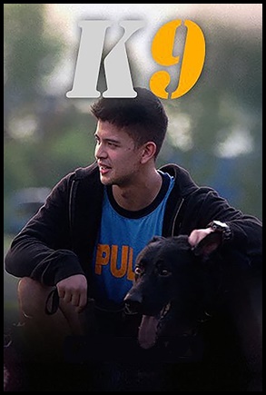 K9 (2018)