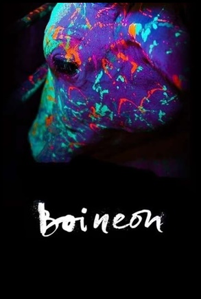 Boi Neon - (2016)